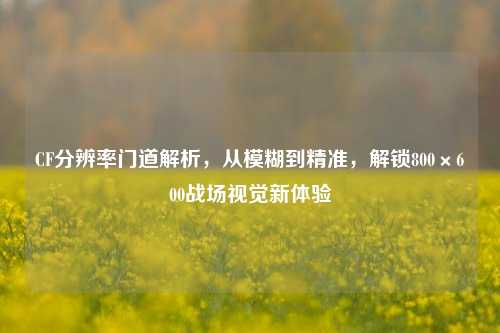 CF分辨率门道解析,从模糊到精准,解锁800×600战场视觉新体验