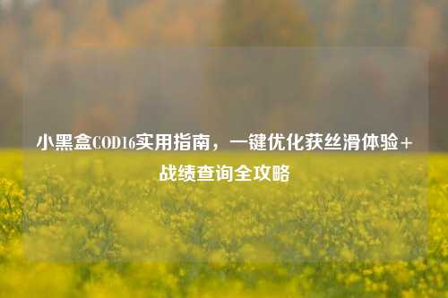 小黑盒COD16实用指南,一键优化获丝滑体验+战绩查询全攻略