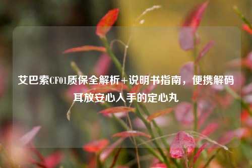 艾巴索CF01质保全解析+说明书指南,便携解码耳放安心入手的定心丸