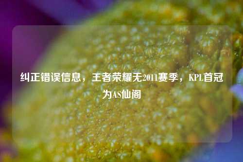 纠正错误信息,王者荣耀无2011赛季,KPL首冠为AS仙阁