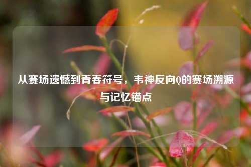 从赛场遗憾到青春符号,韦神反向Q的赛场溯源与记忆锚点