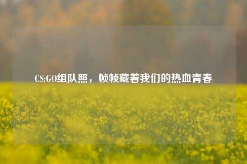 CS:GO组队照，帧帧藏着我们的热血青春