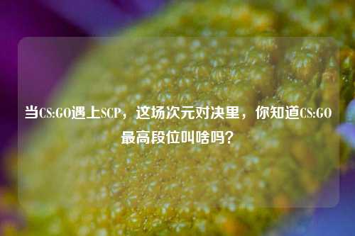 当CS:GO遇上SCP,这场次元对决里,你知道CS:GO更高段位叫啥吗?