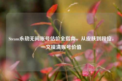 Steam永劫无间账号估价全指南,从皮肤到段位,一文摸清账号价值