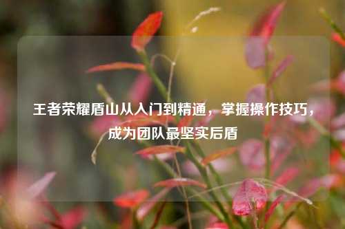 王者荣耀盾山从入门到精通,掌握操作技巧,成为团队最坚实后盾