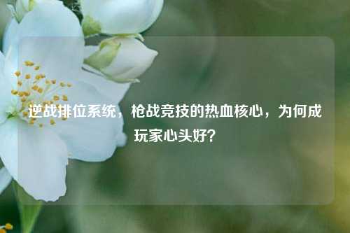 逆战排位系统,枪战竞技的热血核心,为何成玩家心头好?