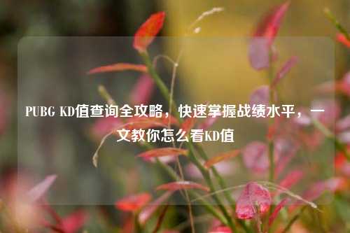 PUBG KD值查询全攻略,快速掌握战绩水平,一文教你怎么看KD值