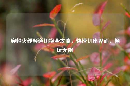 穿越火线频道切换全攻略,快速切出界面,畅玩无阻