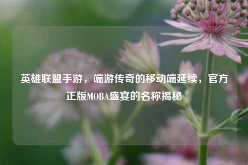 英雄联盟手游,端游传奇的移动端延续,官方正版MOBA盛宴的名称揭秘