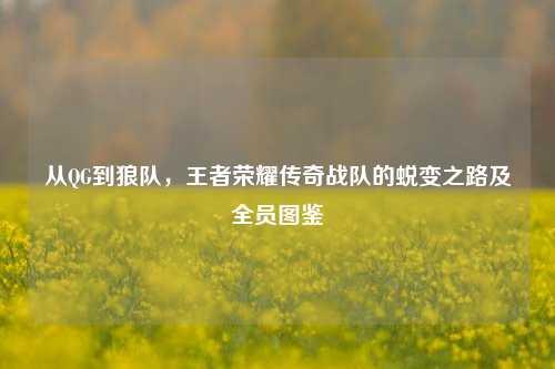 从QG到狼队,王者荣耀传奇战队的蜕变之路及全员图鉴