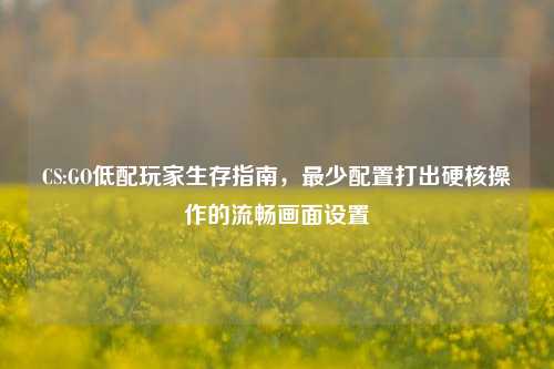 CS:GO低配玩家生存指南,最少配置打出硬核操作的流畅画面设置