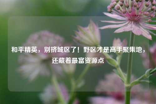 和平精英,别挤城区了!野区才是高手聚集地,还藏着最富资源点