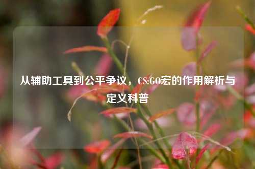 从辅助工具到公平争议,CS:GO宏的作用解析与定义科普