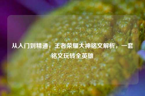 从入门到精通,王者荣耀大神铭文解析,一套铭文玩转全英雄
