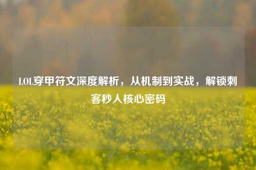 LOL穿甲符文深度解析,从机制到实战,解锁刺客秒人核心密码