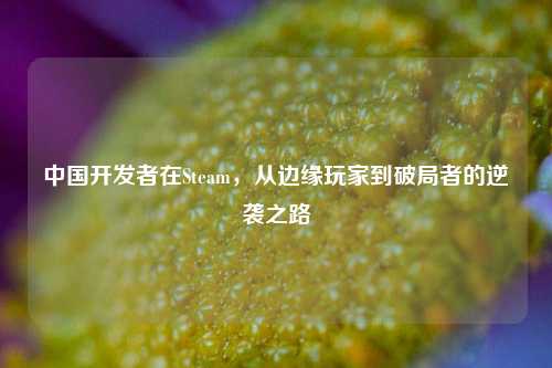 中国开发者在Steam,从边缘玩家到破局者的逆袭之路