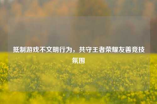 游戏不文明行为,共守王者荣耀友善竞技氛围