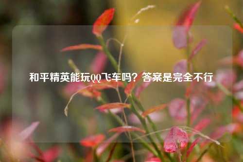 和平精英能玩 飞车吗?答案是完全不行