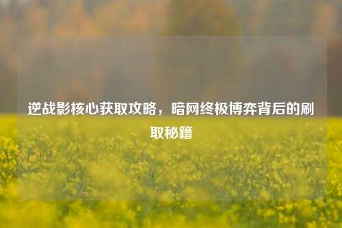 逆战影核心获取攻略,暗网终极博弈背后的刷取秘籍