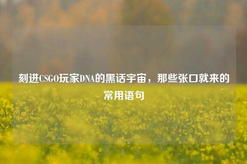 刻进CSGO玩家DNA的黑话宇宙,那些张口就来的常用语句
