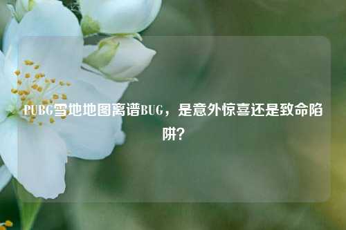 PUBG雪地地图离谱BUG,是意外惊喜还是致命陷阱?