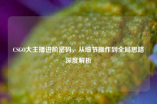 CSGO大主播进阶密码,从细节操作到全局思路深度解析
