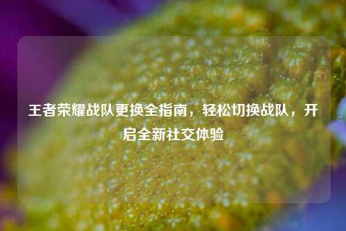 王者荣耀战队更换全指南,轻松切换战队,开启全新社交体验