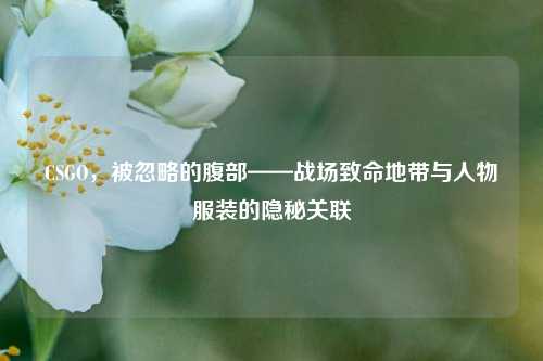 CSGO,被忽略的腹部——战场致命地带与人物服装的隐秘关联