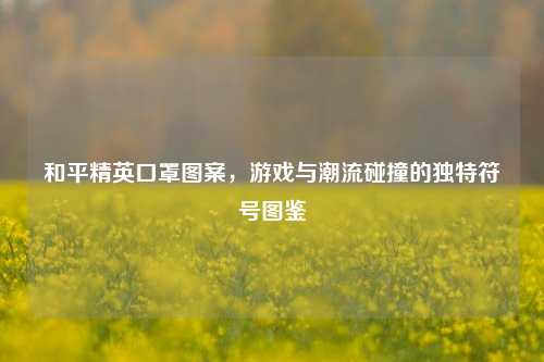 和平精英口罩图案,游戏与潮流碰撞的独特符号图鉴