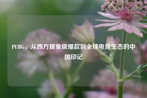 PUBG,从西方现象级爆款到全球电竞生态的中国印记