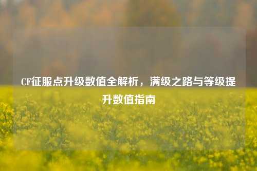 CF征服点升级数值全解析,满级之路与等级提升数值指南