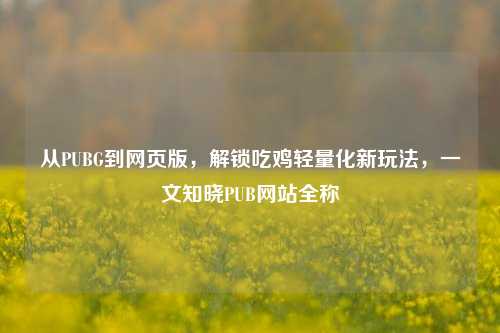 从PUBG到网页版,解锁吃鸡轻量化新玩法,一文知晓PUB网站全称
