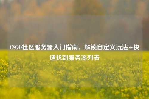CSGO社区服务器入门指南,解锁自定义玩法+快速找到服务器列表