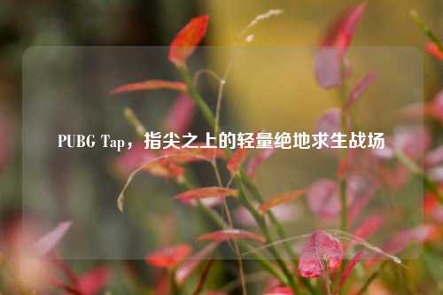 PUBG Tap,指尖之上的轻量绝地求生战场