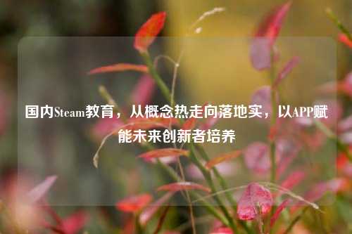 国内Steam教育,从概念热走向落地实,以APP赋能未来创新者培养