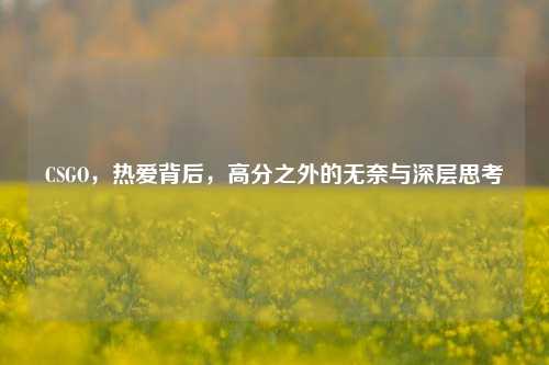 CSGO,热爱背后,高分之外的无奈与深层思考