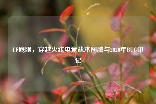 CF鹰眼,穿越火线电竞战术图腾与2020年BUG印记