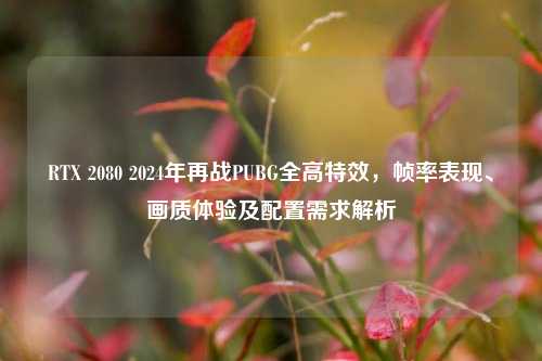 RTX 2080 2024年再战PUBG全高特效,帧率表现、画质体验及配置需求解析