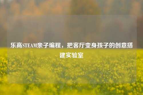 乐高STEAM亲子编程,把客厅变身孩子的创意搭建实验室