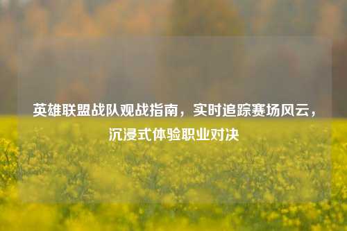 英雄联盟战队观战指南,实时追踪赛场风云,沉浸式体验职业对决