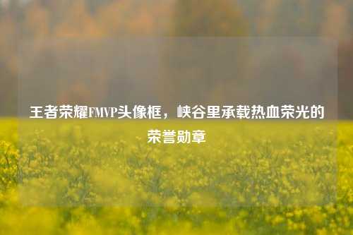 王者荣耀FMVP头像框,峡谷里承载热血荣光的荣誉勋章
