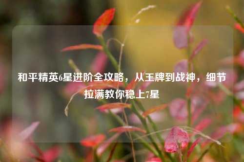 和平精英6星进阶全攻略,从王牌到战神,细节拉满教你稳上7星