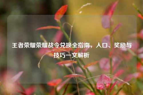 王者荣耀荣耀战令兑换全指南,入口、奖励与技巧一文解析