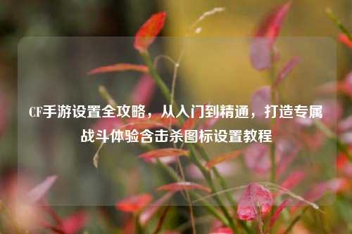 CF手游设置全攻略,从入门到精通,打造专属战斗体验含击杀图标设置教程