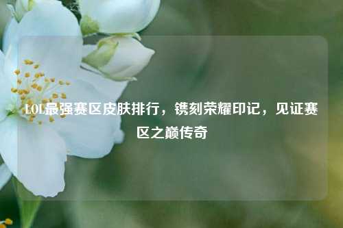 LOL最强赛区皮肤排行,镌刻荣耀印记,见证赛区之巅传奇