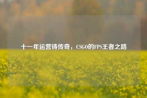 十一年运营铸传奇,CSGO的FPS王者之路
