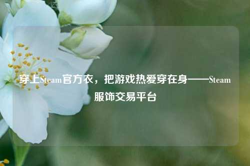 穿上Steam官方衣,把游戏热爱穿在身——Steam服饰交易平台