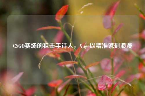 CSGO赛场的狙击手诗人,Xuge以精准镌刻浪漫