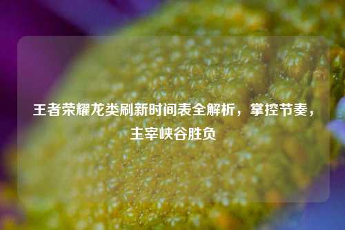 王者荣耀龙类刷新时间表全解析,掌控节奏,主宰峡谷胜负
