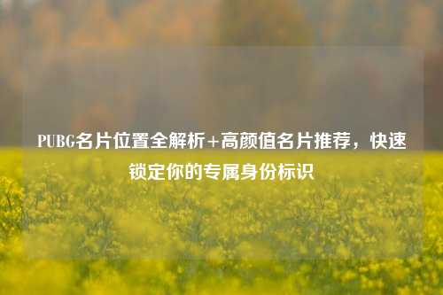 PUBG名片位置全解析+高颜值名片推荐,快速锁定你的专属身份标识